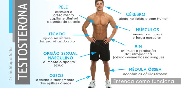 Hormônio Testosterona: O que é, Função e Como Produzir o Hormônio?